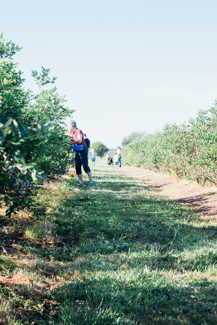 Image of Thunderbird Berry Farm, Tulsa by Ashley Lauren Design Studio