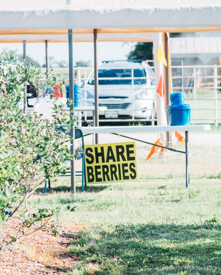 Image of Thunderbird Berry Farm Trip