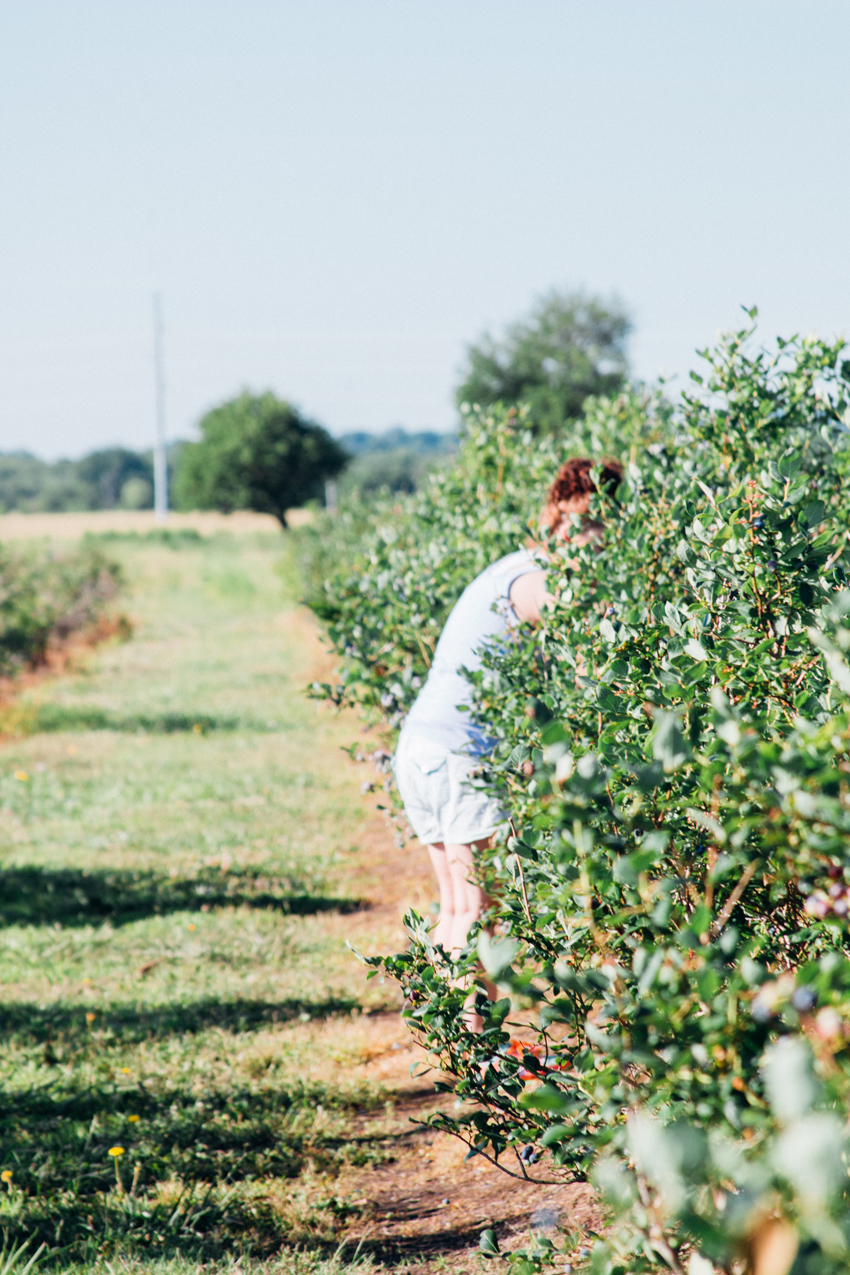 Image of Thunderbird Berry Farm Trip