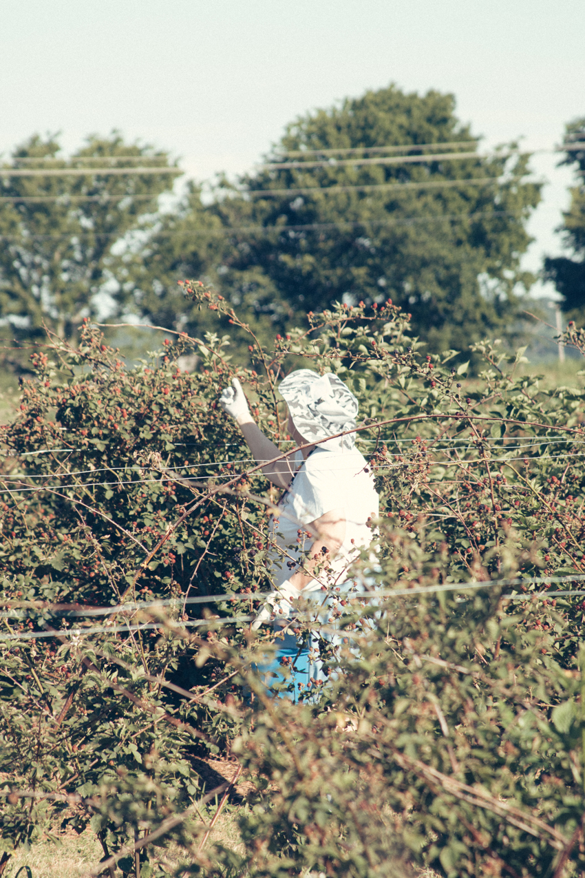 Image of Thunderbird Berry Farm Trip