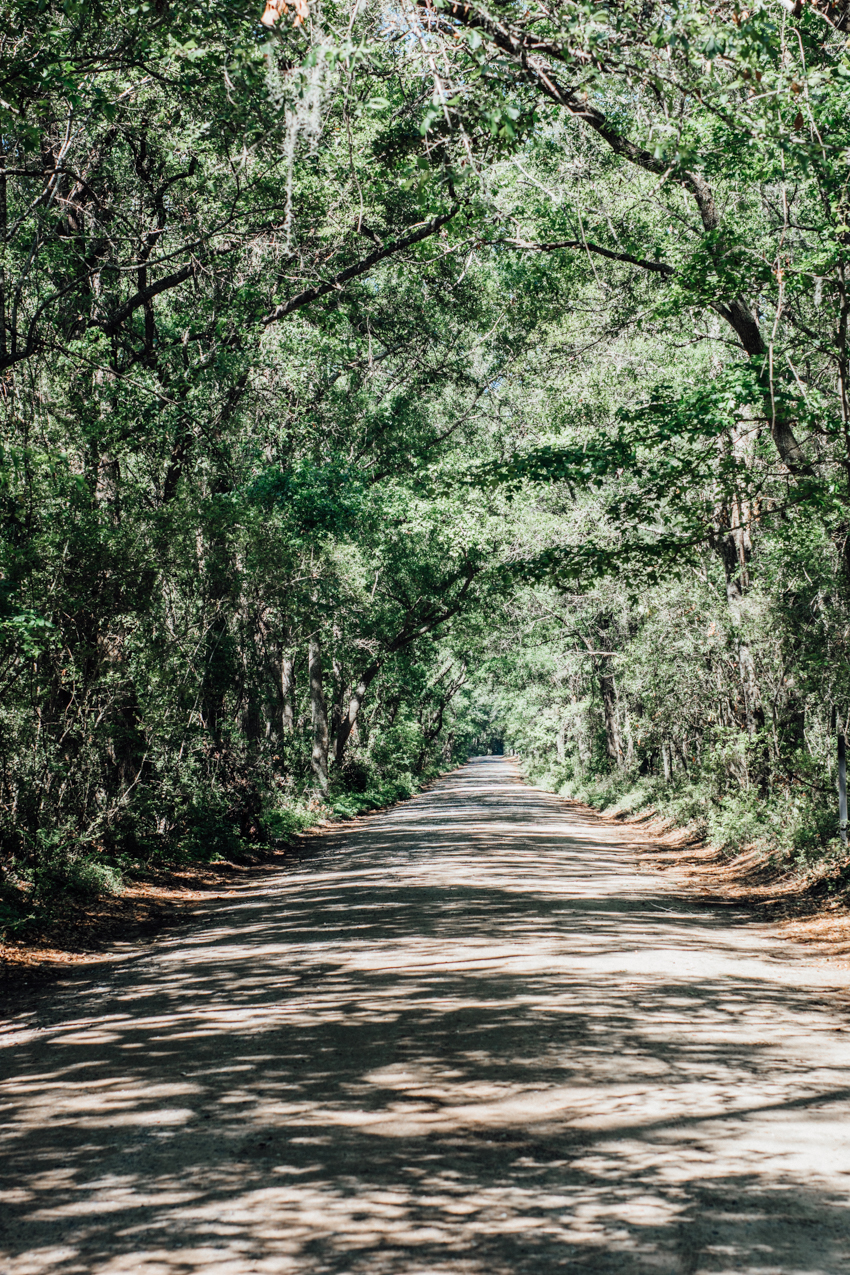 Image of Our Trip to Charleston by Ashley Lauren