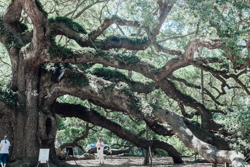 Image of Our Trip to Charleston by Ashley Lauren